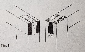 Dovetail Tail and Pin