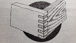 Serrate Joint