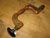 Marples Trade Brace, View 2
